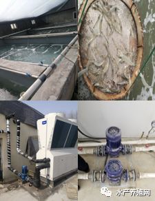 成本节省一半！沈阳海尔中央空调为室内养殖业插上“高利润”翅膀